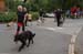 26_Hundesportverein Sulz
